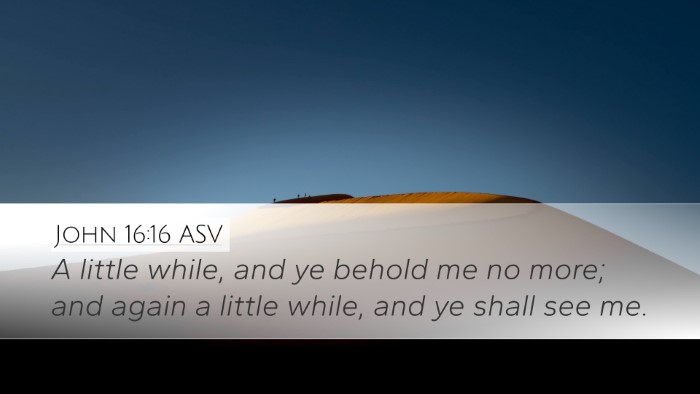 John 16:16 ASV Bible Verse Image