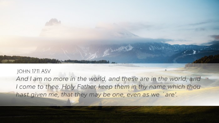 John 17:11 ASV Bible Verse Image