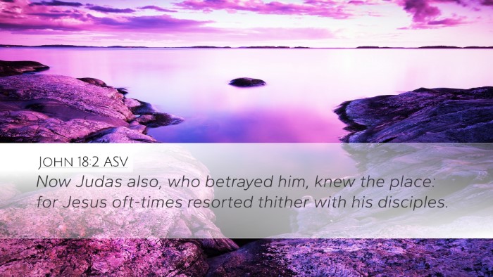 John 18:2 ASV Bible Verse Image