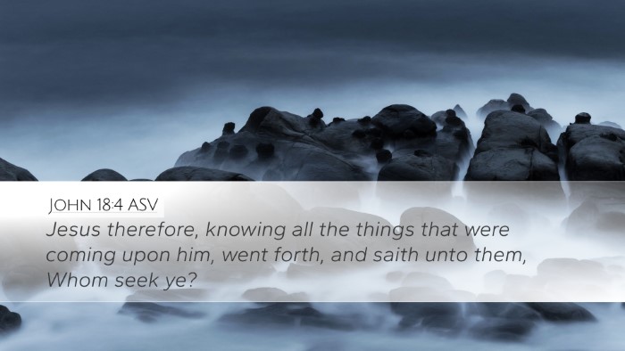 John 18:4 ASV Bible Verse Image