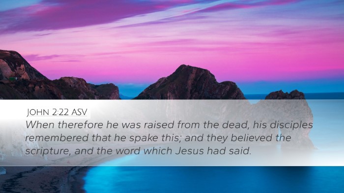 John 2:22 ASV Bible Verse Image