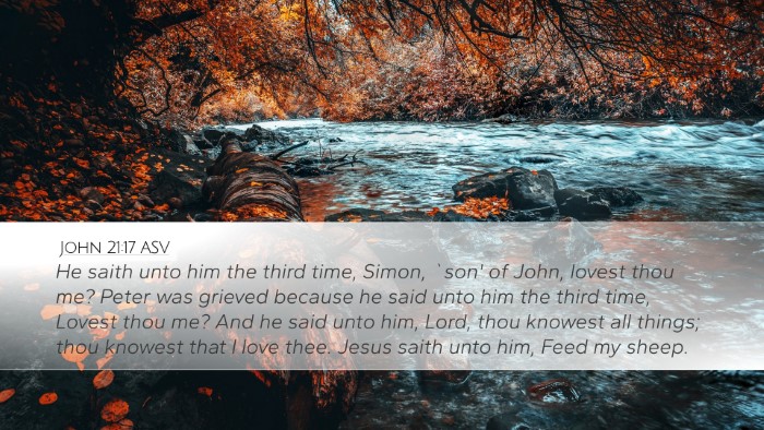 John 21:17 ASV Bible Verse Image