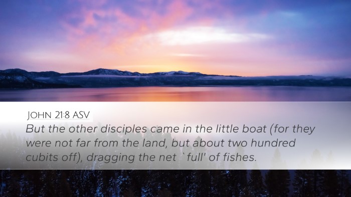 John 21:8 ASV Bible Verse Image