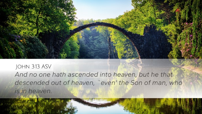 John 3:13 ASV Bible Verse Image