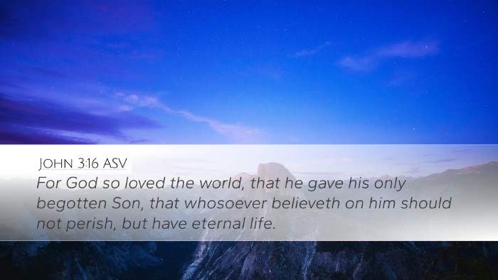 John 3:16 ASV Bible Verse Image