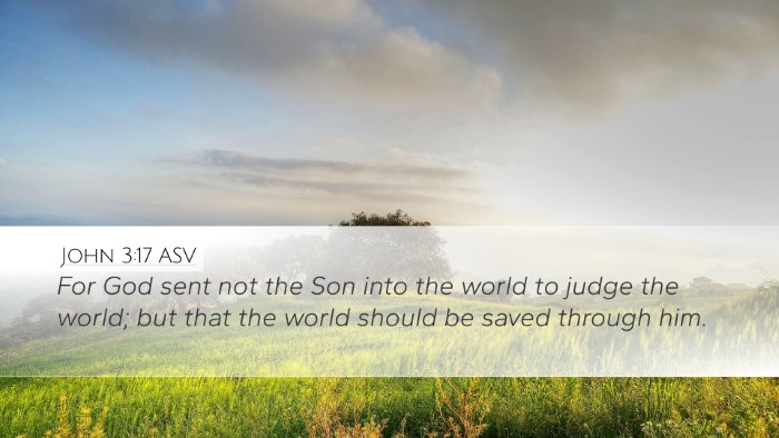 John 3:17 ASV Bible Verse Image