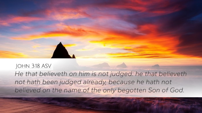John 3:18 ASV Bible Verse Image