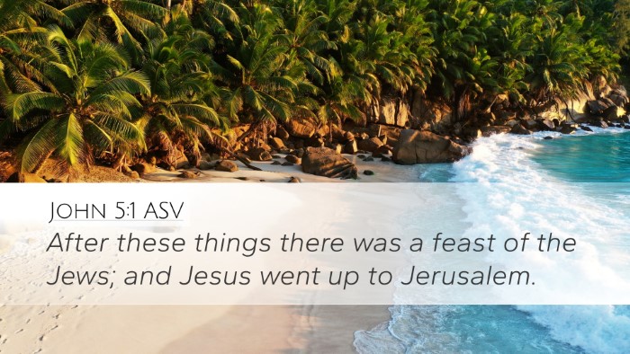 John 5:1 ASV Bible Verse Image