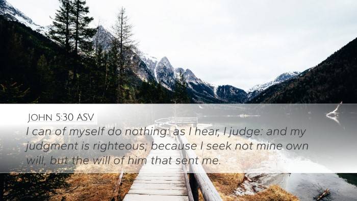 John 5:30 ASV Bible Verse Image