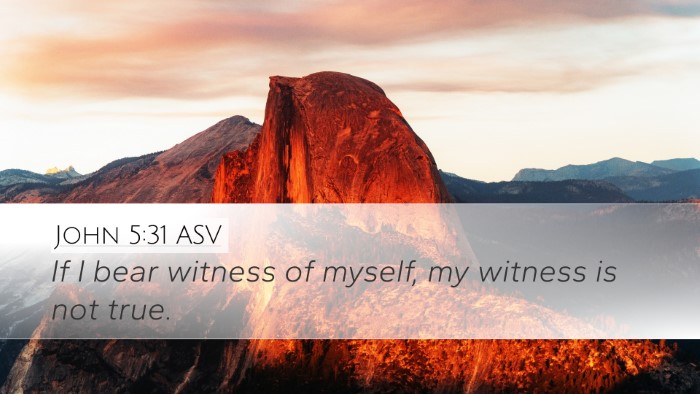 John 5:31 ASV Bible Verse Image