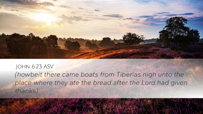 John 6:23 ASV Bible Verse Image