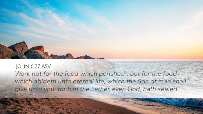John 6:27 ASV Bible Verse Image