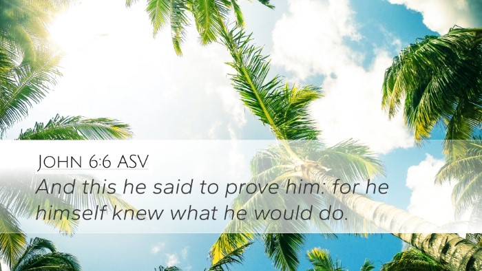 John 6:6 ASV Desktop Wallpaper - And this he said to prove him: for he himself - Desktop Bible Verse Wallpaper