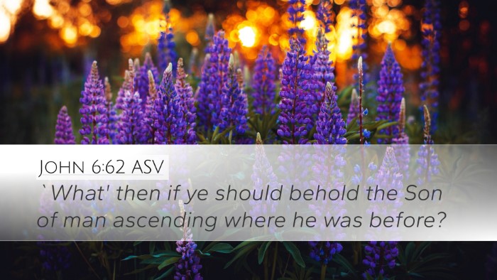 John 6:62 ASV Bible Verse Image
