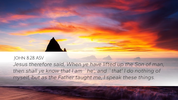 John 8:28 ASV Bible Verse Image