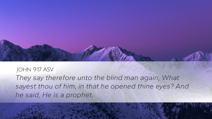 John 9:17 ASV Bible Verse Image