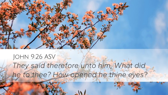 John 9:26 ASV Bible Verse Image