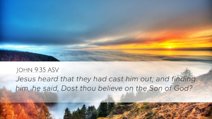 John 9:35 ASV Bible Verse Image
