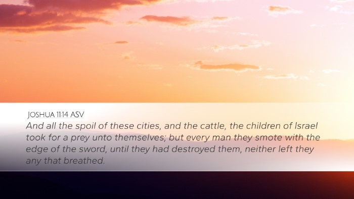 Joshua 11:14 ASV Bible Verse Image