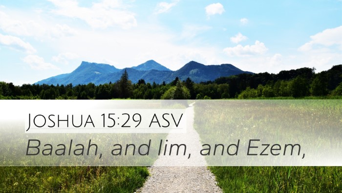 Joshua 15:29 ASV Desktop Wallpaper - Baalah, and Iim, and - Desktop Bible Verse Wallpaper