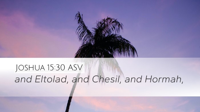 Joshua 15:30 ASV Bible Verse Image