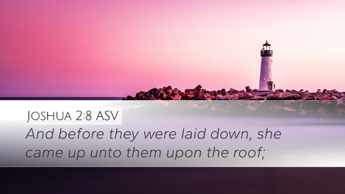Joshua 2:8 ASV Bible Verse Image