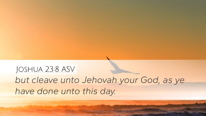 Joshua 23:8 ASV Bible Verse Image