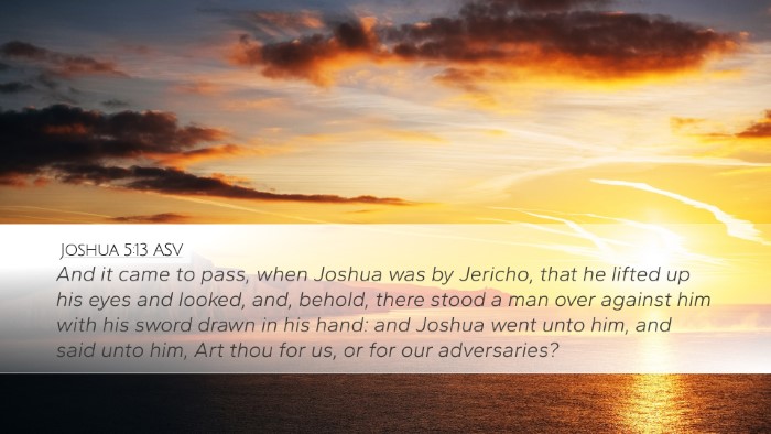 Joshua 5:13 ASV Bible Verse Image