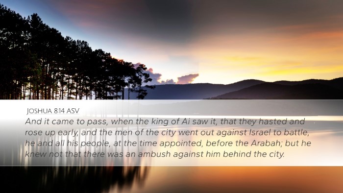 Joshua 8:14 ASV Bible Verse Image
