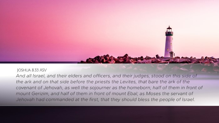 Joshua 8:33 ASV Bible Verse Image