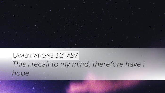 Lamentations 3:21 ASV Bible Verse Image