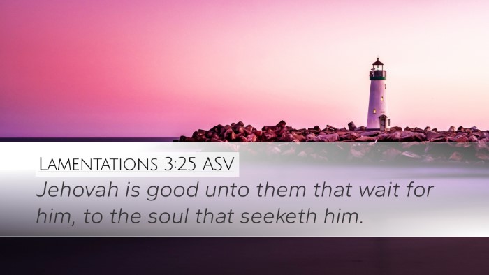 Lamentations 3:25 ASV Bible Verse Image