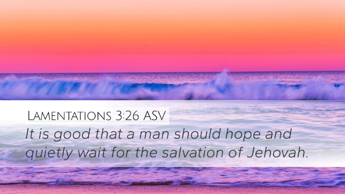 Lamentations 3:26 ASV Bible Verse Image