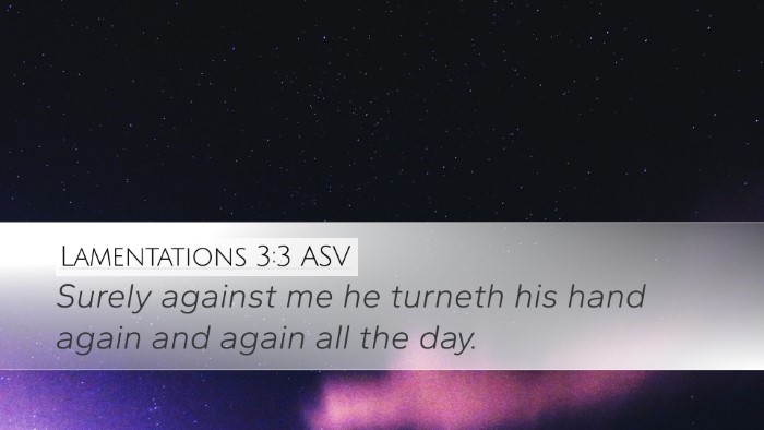 Lamentations 3:3 ASV Bible Verse Image