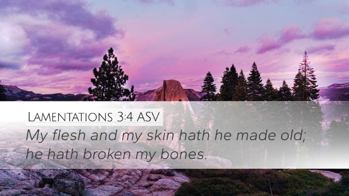 Lamentations 3:4 ASV Desktop Wallpaper - My flesh and my skin hath he made old; he hath - Desktop Bible Verse Wallpaper