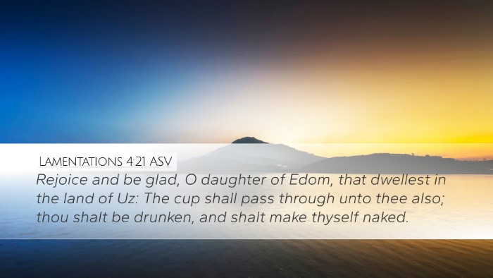 Lamentations 4:21 ASV Bible Verse Image