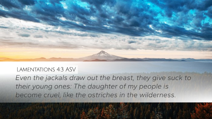 Lamentations 4:3 ASV Bible Verse Image