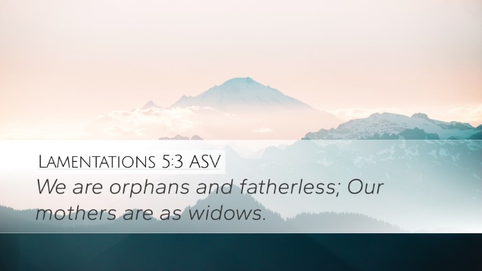 Lamentations 5:3 ASV Bible Verse Image