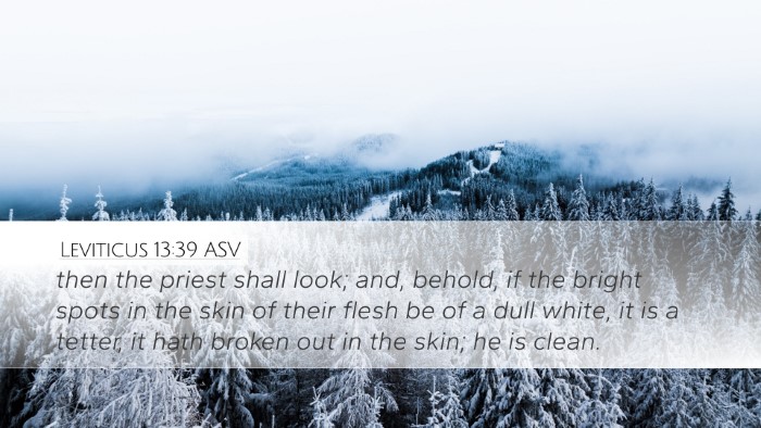 Leviticus 13:39 ASV Desktop Wallpaper - then the priest shall look; and, behold, if the - Desktop Bible Verse Wallpaper