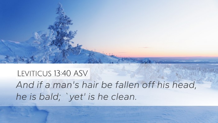 Leviticus 13:40 ASV Desktop Wallpaper - And if a man's hair be fallen off his head, he is - Desktop Bible Verse Wallpaper