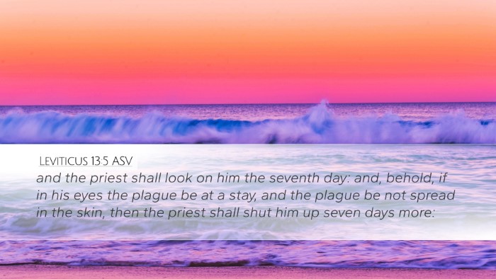 Leviticus 13:5 ASV Desktop Wallpaper - and the priest shall look on him the seventh day: - Desktop Bible Verse Wallpaper