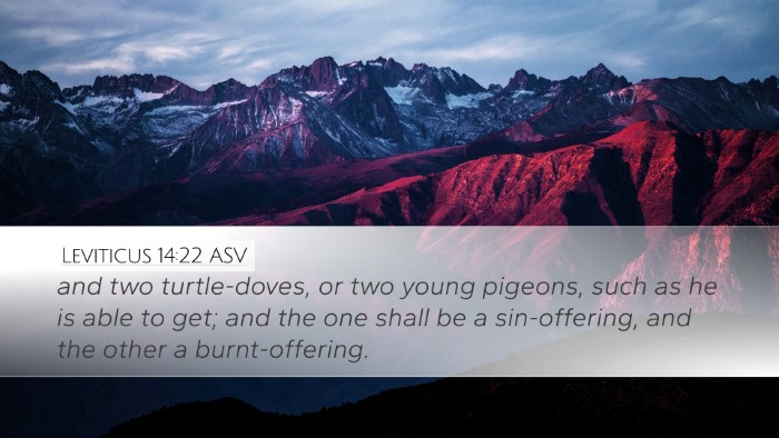 Leviticus 14:22 ASV Bible Verse Image