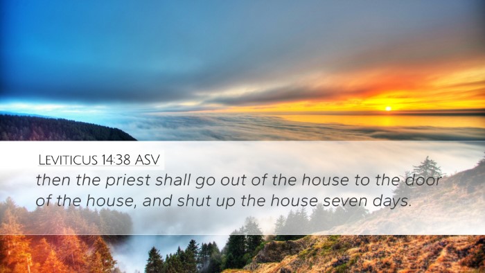 Leviticus 14:38 ASV Desktop Wallpaper - then the priest shall go out of the house to the - Desktop Bible Verse Wallpaper