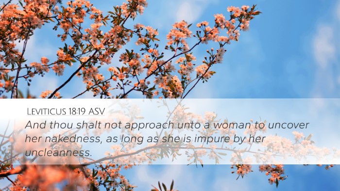 Leviticus 18:19 ASV Bible Verse Image