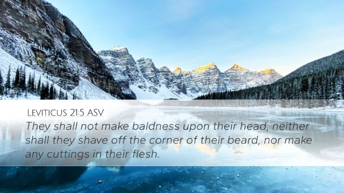 Leviticus 21:5 ASV Bible Verse Image