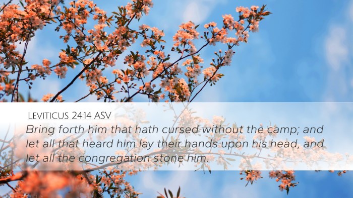 Leviticus 24:14 ASV Bible Verse Image