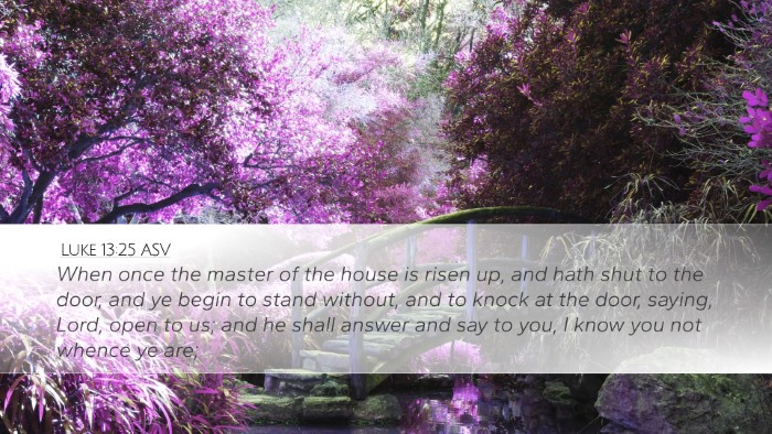 Luke 13:25 ASV Bible Verse Image