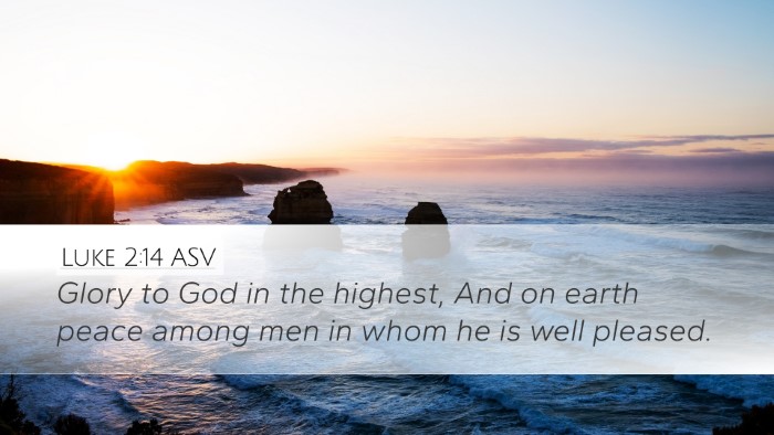 Luke 2:14 ASV Bible Verse Image