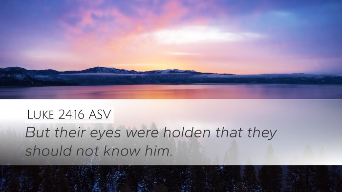 Luke 24:16 ASV Bible Verse Image