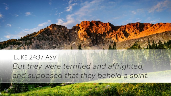 Luke 24:37 ASV Desktop Wallpaper - But they were terrified and affrighted, and - Desktop Bible Verse Wallpaper